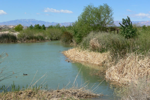 Las Vegas Wetlands Park 